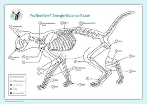 Imagen de archivo de Akupunktur-Tafel Katze: PraNeoHom Energiebalance durch Heilen mit Zeichen a la venta por Revaluation Books