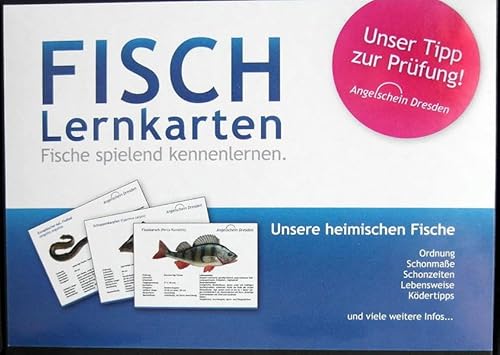 Beispielbild fr FISCH-Lernkarten Fische spielend kennenlernen (FISCH Lernkarten) zum Verkauf von medimops