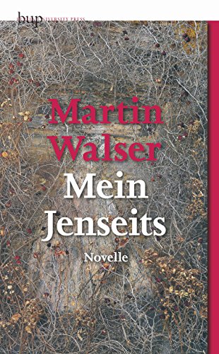 Beispielbild fr Mein Jenseits. Novelle zum Verkauf von medimops