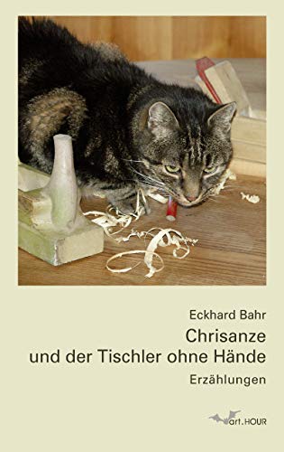 Stock image for Chrisanze und der Tischler ohne Hnde: Erzhlungen for sale by medimops