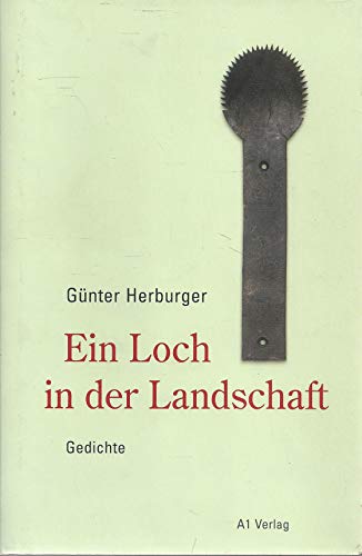 9783940666161: Ein Loch in der Landschaft: Gedichte