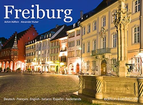 Stock image for Freiburg for sale by Tamery