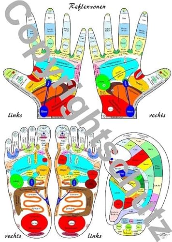 Reflexzonenübersicht - Füße, Hände und Ohr DIN A4 Karte - Tanja Aeckersberg