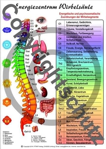 9783940832450: Energiezentrum Wirbelsule: A5 bersichtskarte