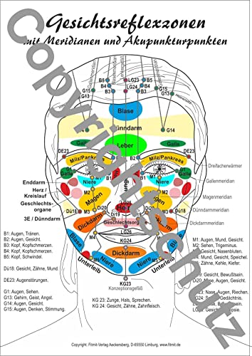 Beispielbild fr Gesichtsreflexzonen zum Verkauf von Blackwell's