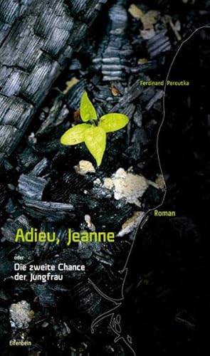 Stock image for Adieu, Jeanne oder Die zweite Chance der Jungfrau: Roman for sale by medimops