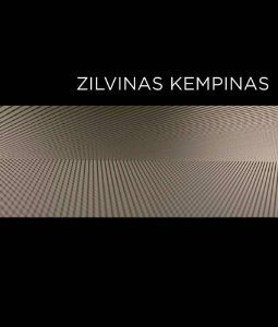 Beispielbild fr Zilvinas Kempinas (German) zum Verkauf von Antiquariat UEBUE