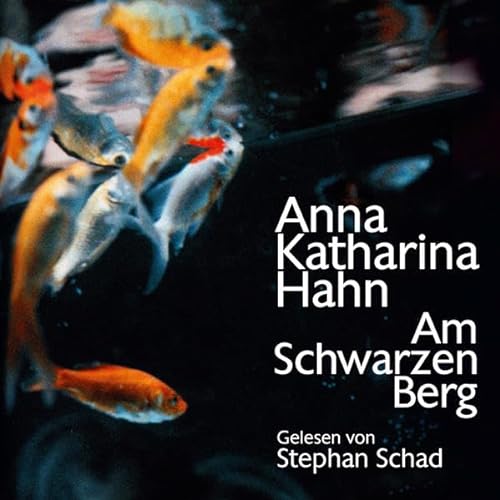Stock image for Am schwarzen Berg, Audio-CD for sale by medimops