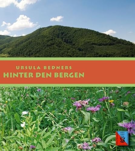 Stock image for Hinter den Bergen for sale by medimops
