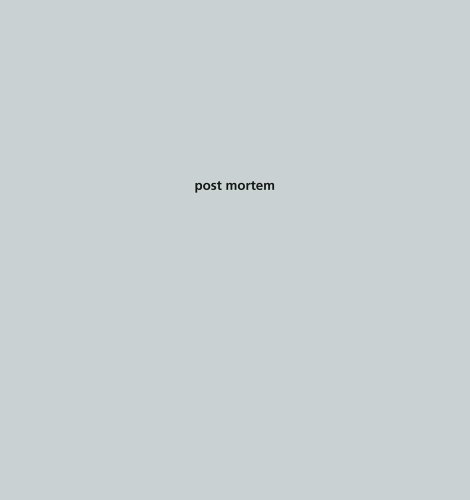 Stock image for Patrik Budenz - Post Mortem Budenz, Patrik for sale by Iridium_Books