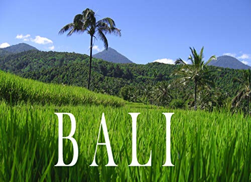 Stock image for Bali - Ein Bildband for sale by medimops