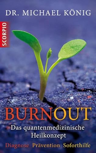Stock image for Burnout: Das quantenmedizinische Heilkonzept for sale by medimops