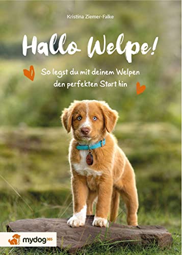 Stock image for Hallo Welpe! for sale by GreatBookPrices