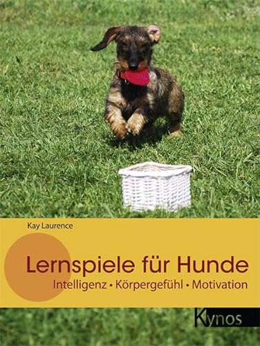 Stock image for Lernspiele fr Hunde: Intelligenz - Krpergefhl - Motivation for sale by medimops