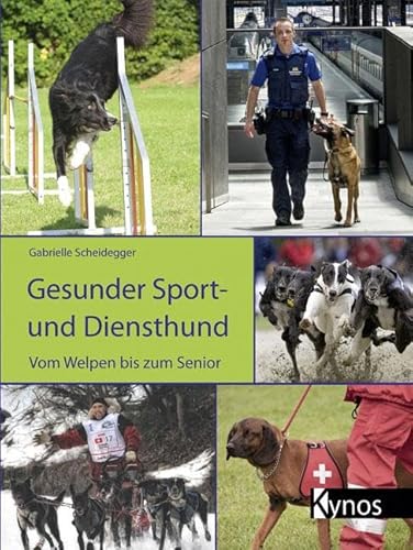 Beispielbild fr Gesunder Sport- und Diensthund: Vom Welpen bis zum Senior zum Verkauf von Chiron Media