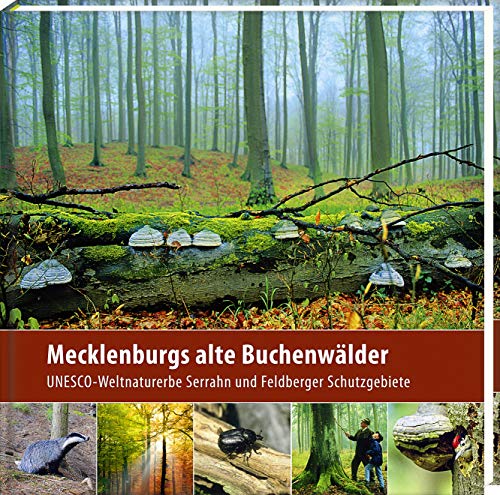 9783942477185: Mecklenburgs alte Buchenwlder (2. Aufl.): UNESCO-Weltnaturerbe Serrahn und Feldberger Schutzgebiete