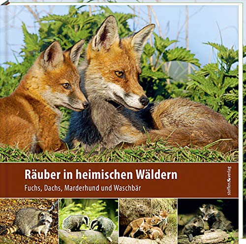 Beispielbild fr Ruber in heimischen Wldern: Fuchs, Dachs, Marderhund und Waschbr zum Verkauf von medimops