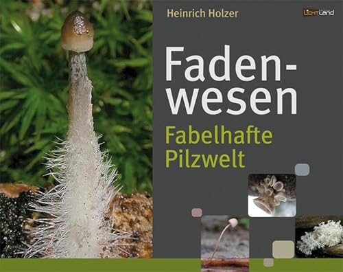 Fadenwesen: Fabelhafte Pilzwelt. Die faszinierende Vielfalt der Pilze sowie ihre immense Bedeutung für Wald und Flur sind Gründe genug, sich . Bilder mit 