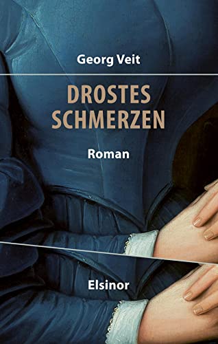 Stock image for Drostes Schmerzen: Roman for sale by medimops