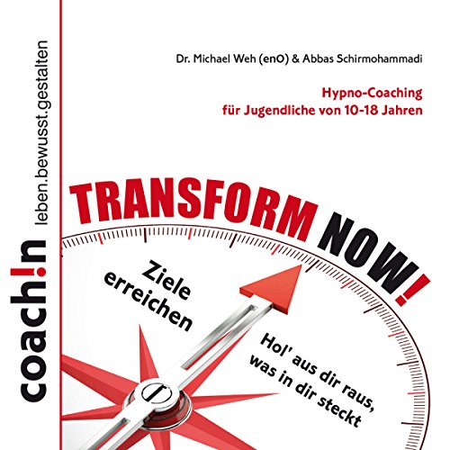 Beispielbild fr Transform Now! zum Verkauf von medimops