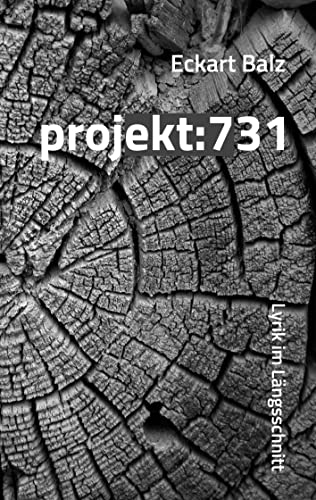 Beispielbild fr projekt: 731: Lyrik im Lngsschnitt zum Verkauf von medimops