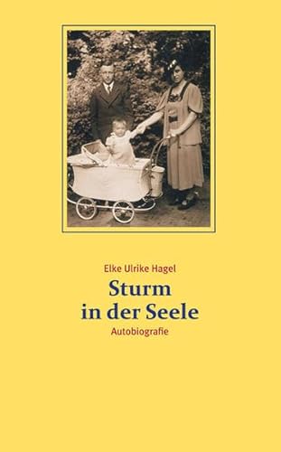 Beispielbild fr Sturm in der Seele: Autobiografie zum Verkauf von medimops