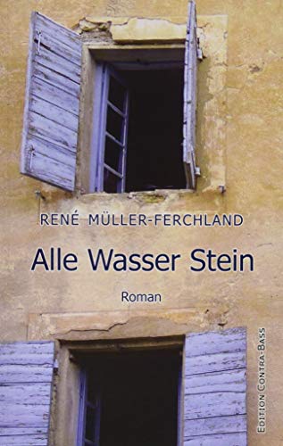 Imagen de archivo de Alle Wasser Stein: Roman a la venta por medimops