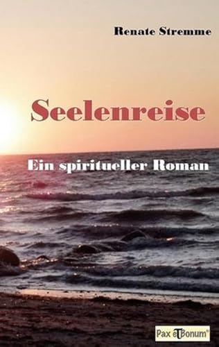 Beispielbild fr Seelenreise: Ein spiritueller Roman zum Verkauf von medimops