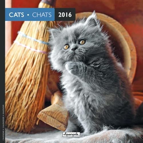 9783943707960: Aquarupella 2016 Chats / Katzen