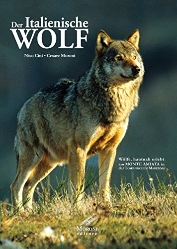 Beispielbild fr Der italienische Wolf.: Wlfe hautnah erlebt am Monte Amiata in der toskanischen Maremma zum Verkauf von Jasmin Berger