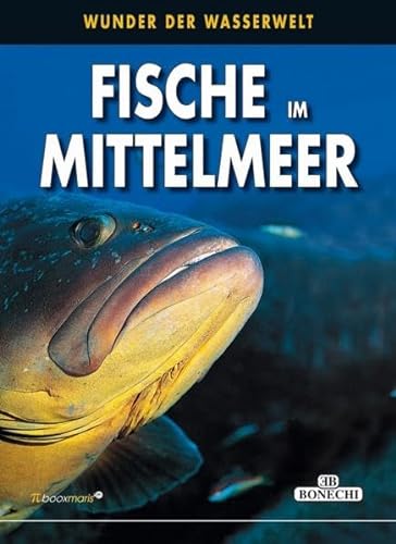 Beispielbild fr Fische im Mittelmeer: Wunder der Wasserwelt (PiBoox Maris) zum Verkauf von medimops