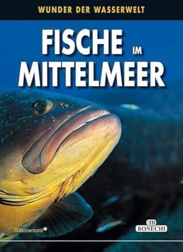 Imagen de archivo de Fische im Mittelmeer: Wunder der Wasserwelt (PiBoox Maris) a la venta por medimops