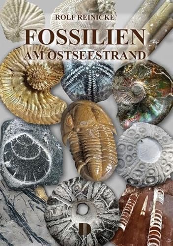 Stock image for Fossilien am Ostseestrand -Language: german for sale by GreatBookPrices