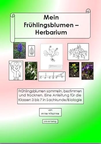 Beispielbild fr Mein Herbarium der Frhlingsblumen zum Verkauf von Blackwell's