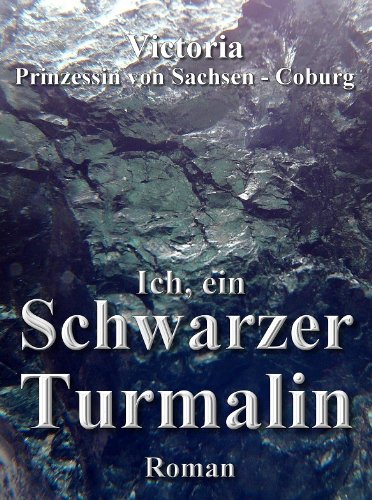 Beispielbild fr Ich, ein Schwarzer Turmalin: Ein Roman ber den Werdegang und die Anwendungsmglichkeiten eines schwarzen Turmalins. zum Verkauf von medimops