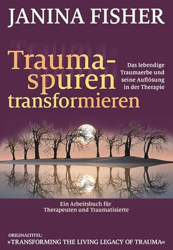Stock image for Traumaspuren transformieren: Das lebendige Traumaerbe und seine Auflsung in der Therapie. for sale by INGARDIO
