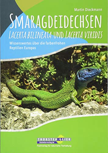 Stock image for Smaragdeidechsen Lacerta bilineata und Lacerta viridis -Language: german for sale by GreatBookPrices