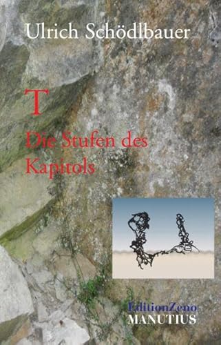 Stock image for T ? Die Stufen des Kapitols: Ein politischer Roman for sale by medimops