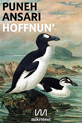 9783944543482: Hoffnun'