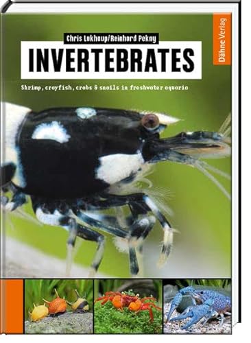 Stock image for Invertebrates for sale by GreatBookPricesUK