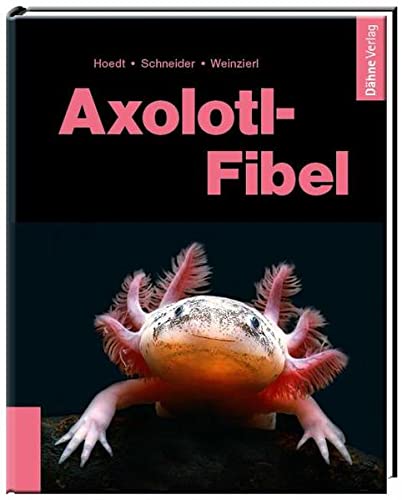 Stock image for Axolotl-Fibel -Language: german for sale by GreatBookPrices