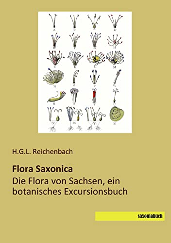 9783944822068: Flora Saxonica: Die Flora von Sachsen, ein botanisches Excursionsbuch