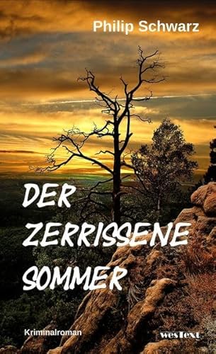 Stock image for Der zerrissene Sommer for sale by medimops