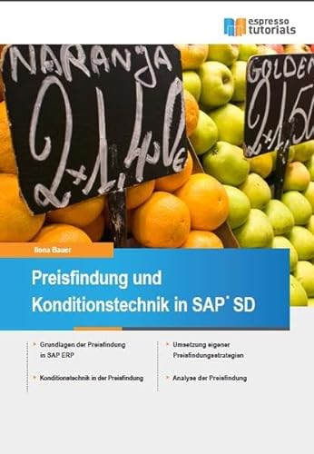 Beispielbild fr Preisfindung und Konditionstechnik in SAP SD zum Verkauf von medimops