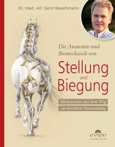 Stock image for Die Anatomie und Biomechanik von Stellung und Biegung -Language: german for sale by GreatBookPrices