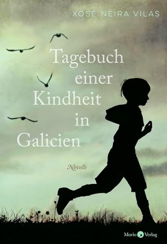 Stock image for Tagebuch einer Kindheit in Galicien: Novelle for sale by medimops