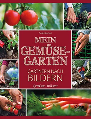 Stock image for Gemsegarten - Grtnern nach Bildern for sale by medimops