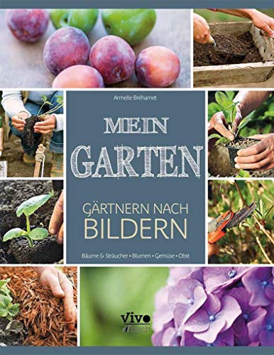 Stock image for Mein Garten - Grtnern nach Bildern for sale by medimops