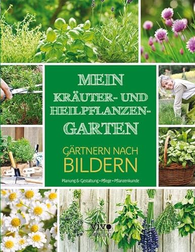 Stock image for Mewin Kruter und Heilpflanzen Garten - Grtnern nach Bildern for sale by medimops