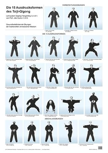 9783945695265: Die 15 Ausdrucksformen des Taiji Qigong Poster